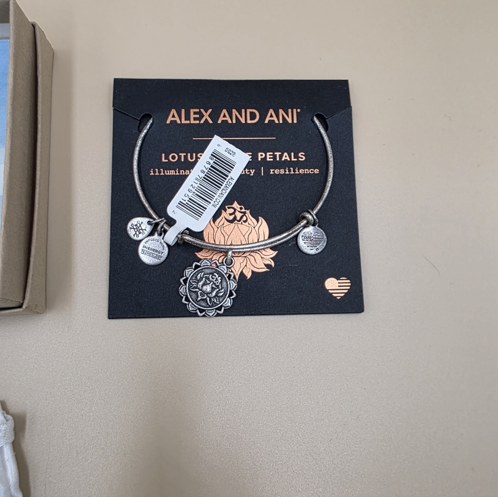 Adornia Silver Link Bracelet,alex And Ani And More Bundle - Picture 6 of 6